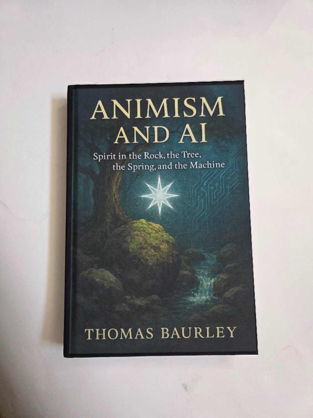 Animism and Ai by Thomas Baurley (Hardcover 2025)